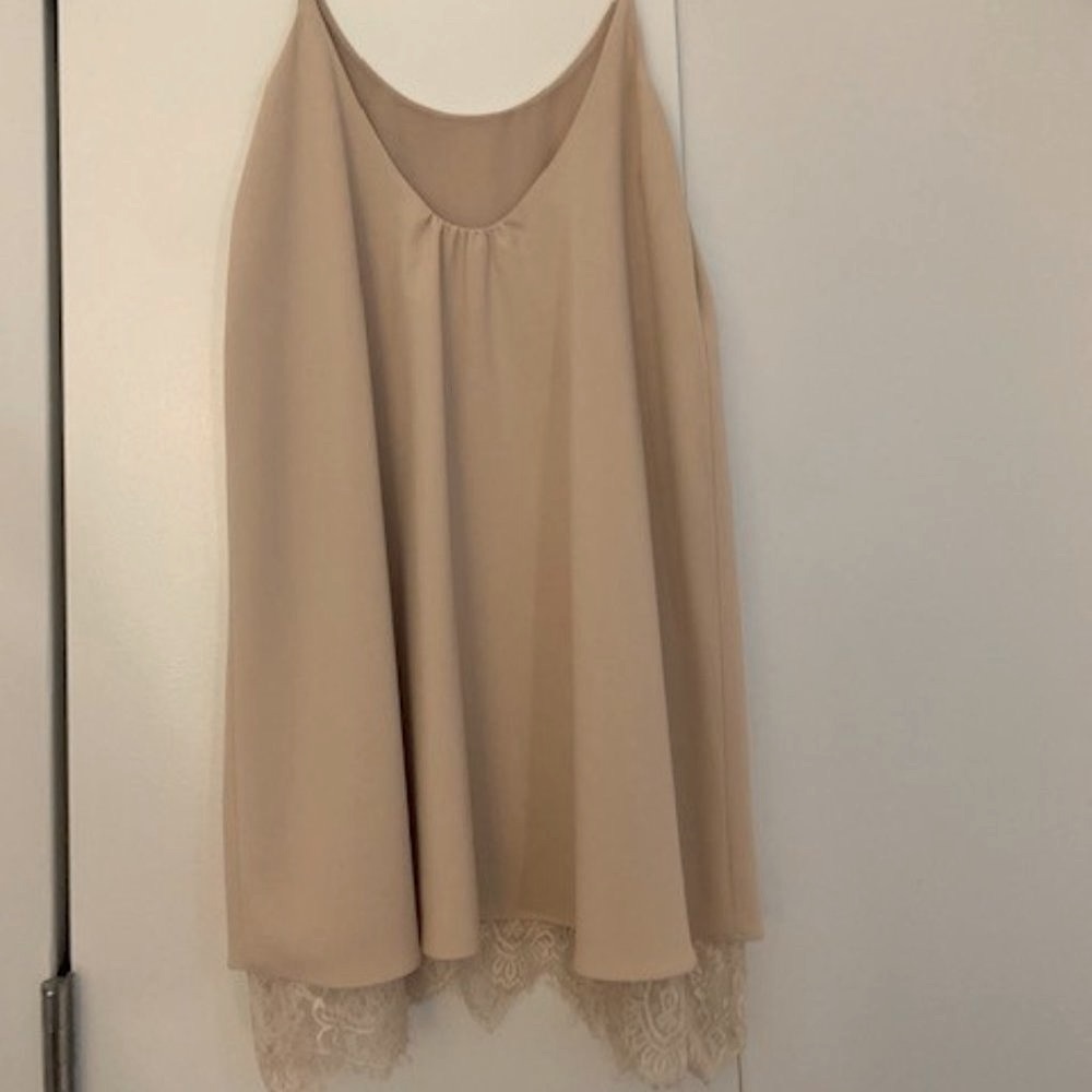 Zara Nude Spaghetti Strap Dress - Picture 3 of 5
